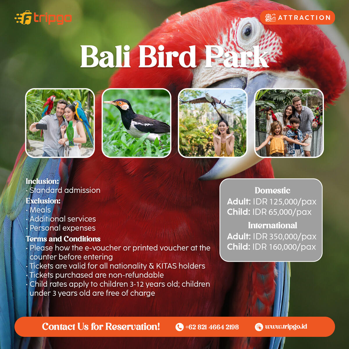 bali bird park